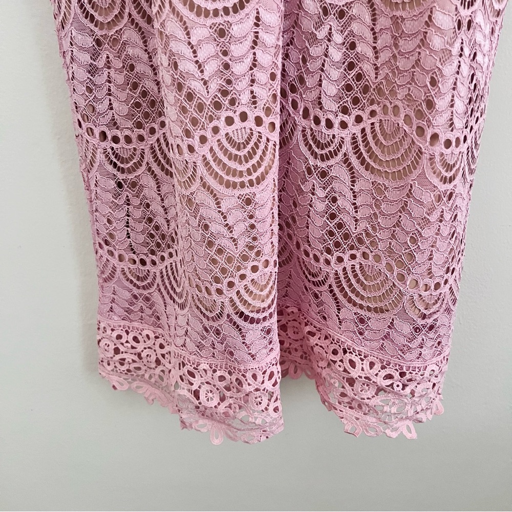 Current Air Affair Pink Lace Dress - Picture 13 of 16